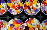 Saúde em flor - flores comestíveis e os imensos benefícios para a saúde