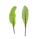 Mini Swiss Chard Leaves