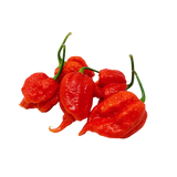 Malagueta Carolina Reaper